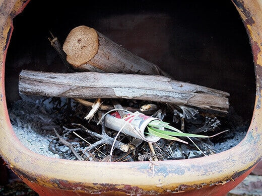 Unearthing Kerala's Ancient Formulations: Exquisite Ayurvedic Elixirs for Men's Hair