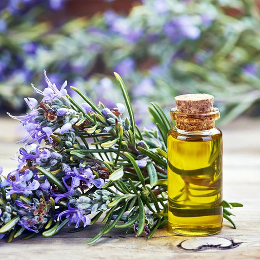 Clinical Research of Rosemary Oil